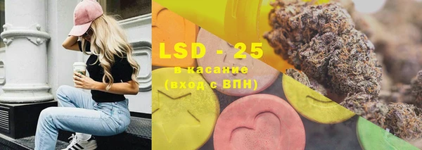 индика Волосово