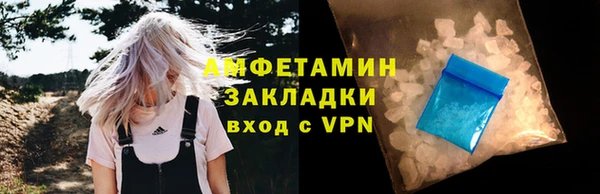 индика Волосово