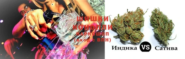 индика Волосово
