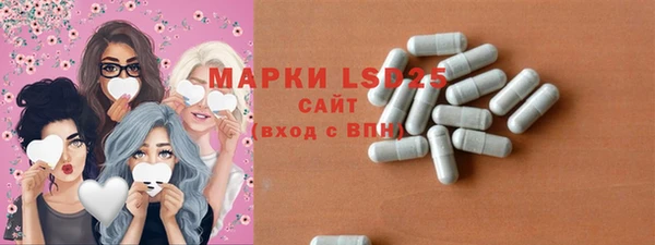 индика Волосово