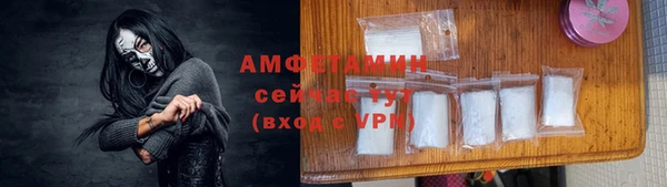 индика Волосово