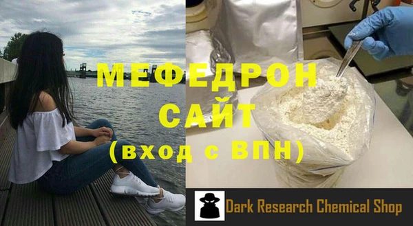 индика Каменногорск