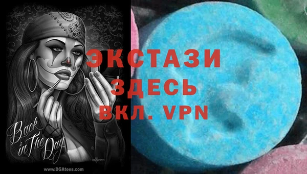 индика Волосово