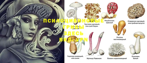 индика Волосово